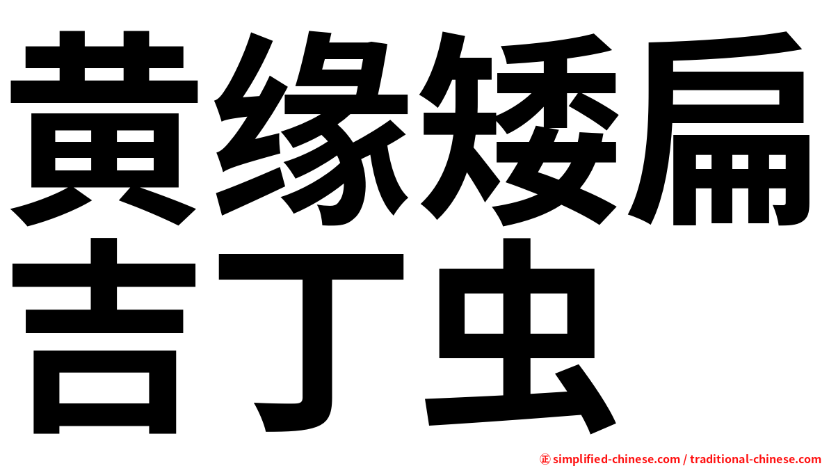 黄缘矮扁吉丁虫
