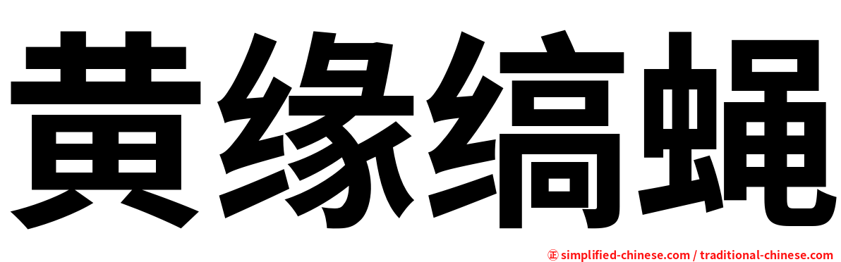 黄缘缟蝇