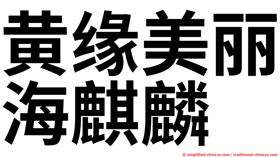 黄缘美丽海麒麟
