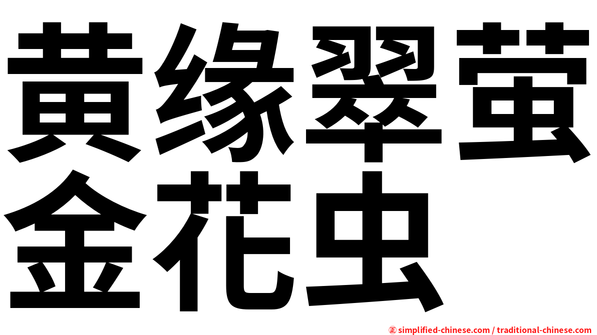 黄缘翠萤金花虫
