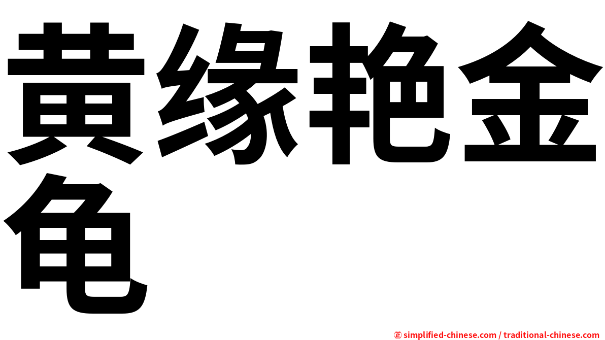 黄缘艳金龟