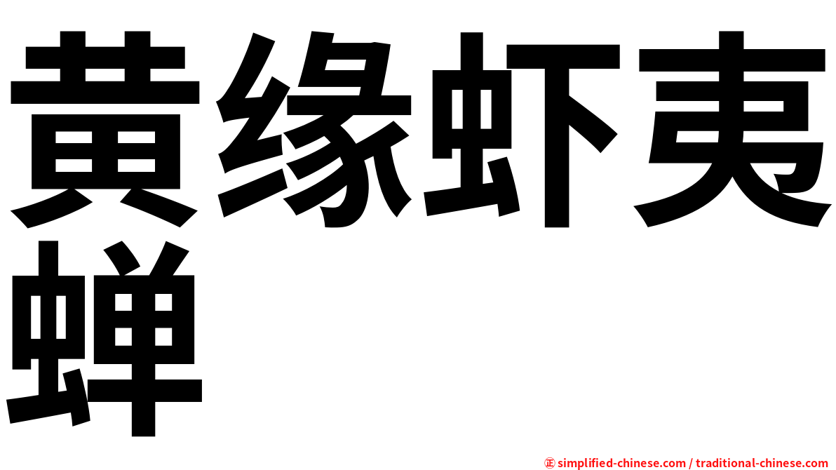 黄缘虾夷蝉