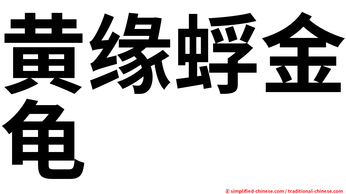 黄缘蜉金龟