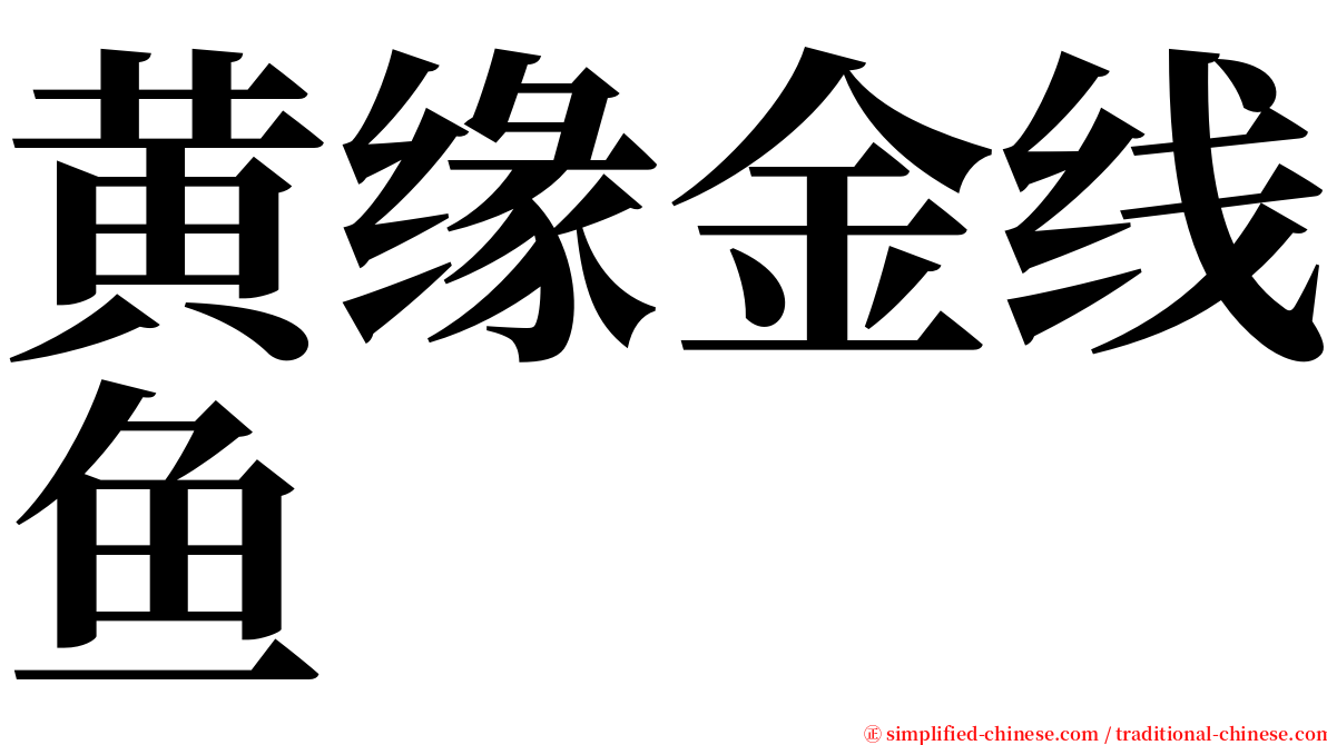 黄缘金线鱼 serif font