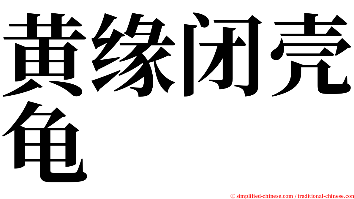 黄缘闭壳龟 serif font