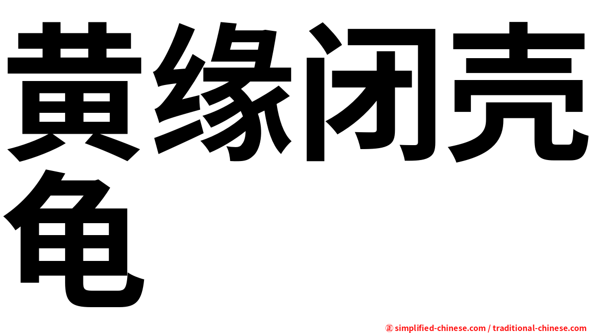 黄缘闭壳龟