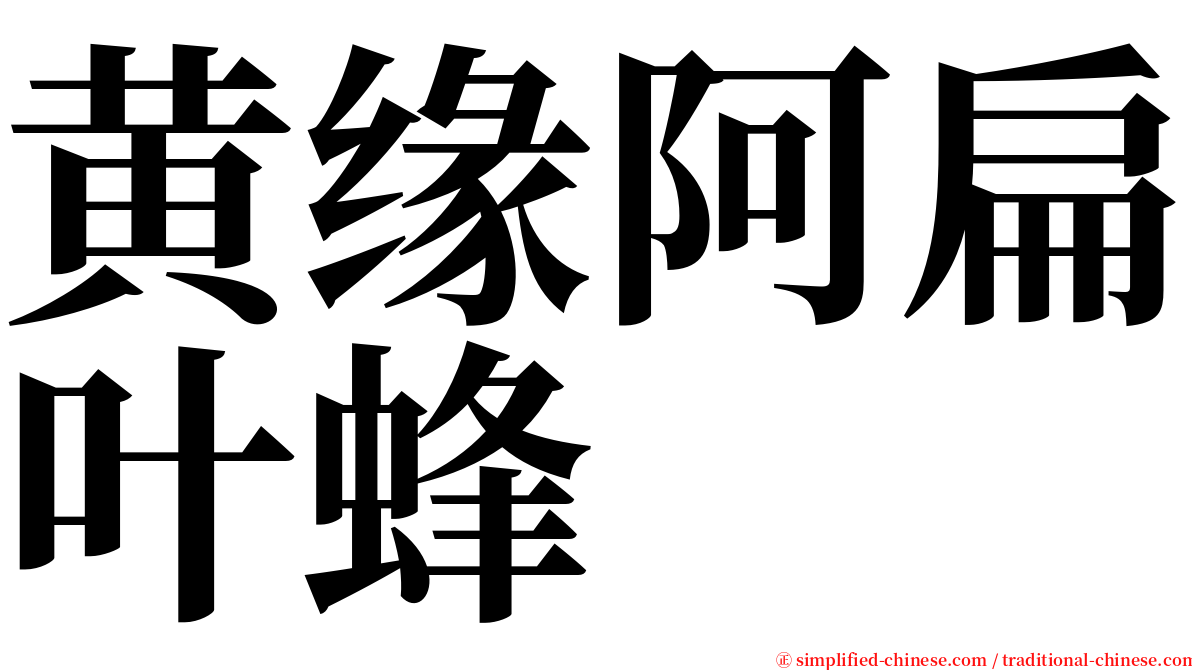 黄缘阿扁叶蜂 serif font