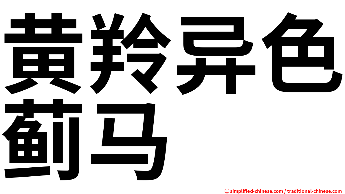 黄羚异色蓟马