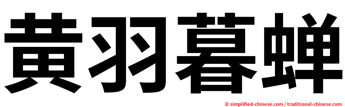 黄羽暮蝉
