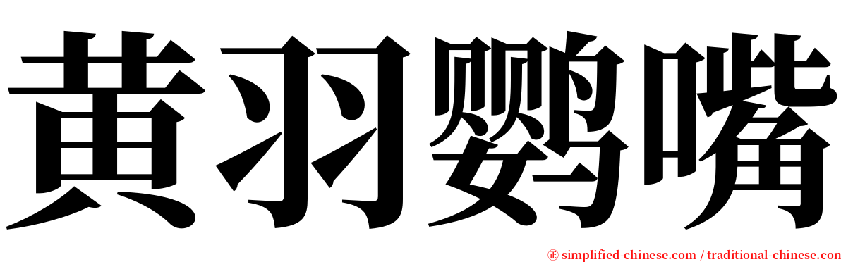黄羽鹦嘴 serif font