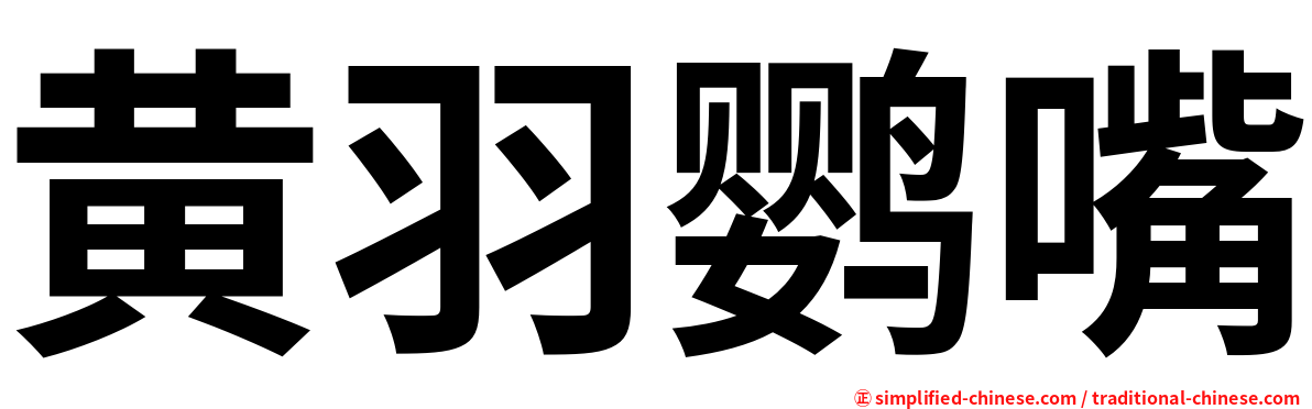 黄羽鹦嘴