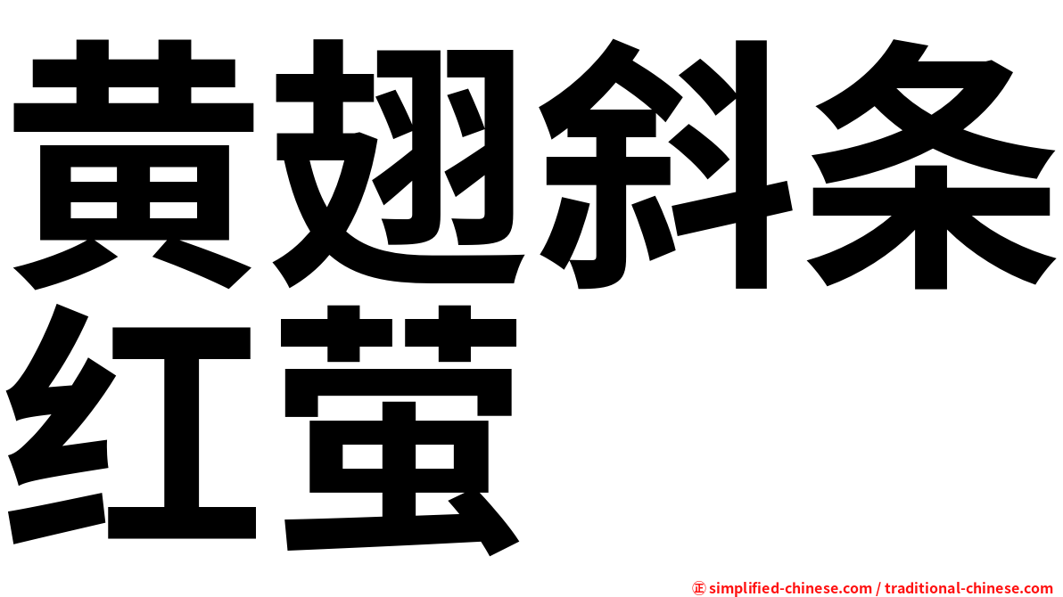 黄翅斜条红萤