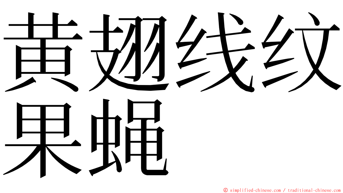 黄翅线纹果蝇 ming font