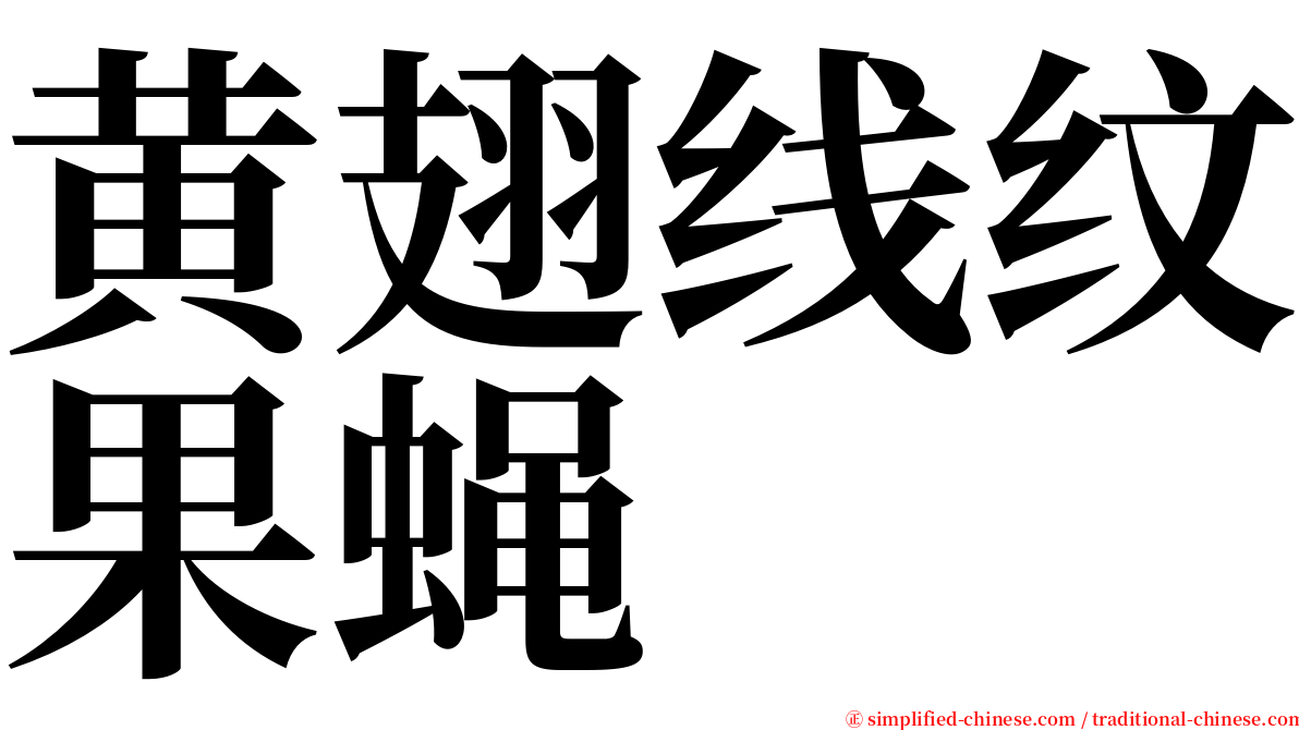 黄翅线纹果蝇 serif font