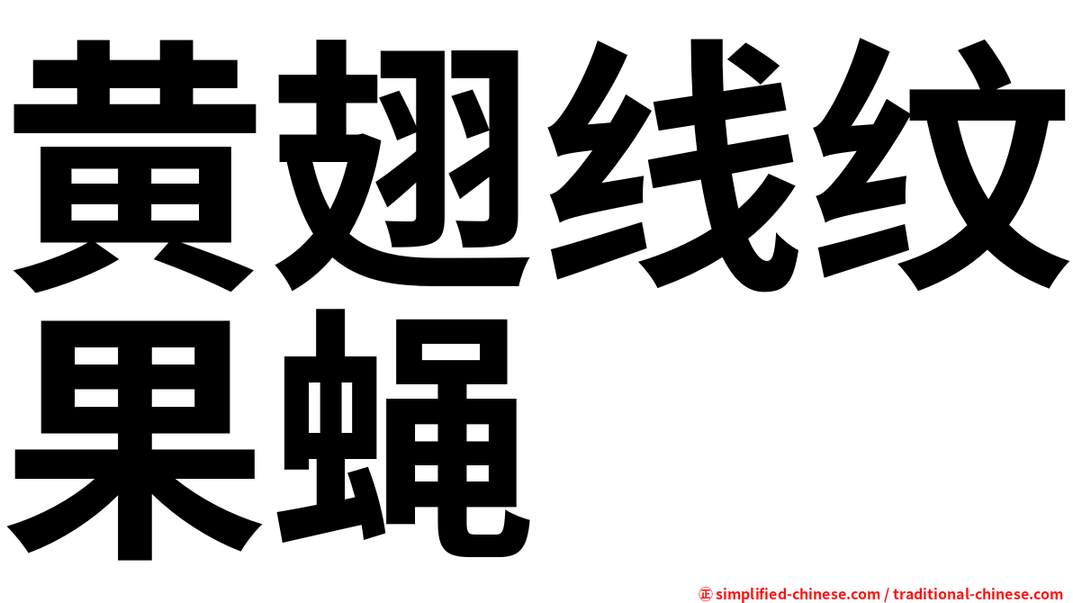 黄翅线纹果蝇