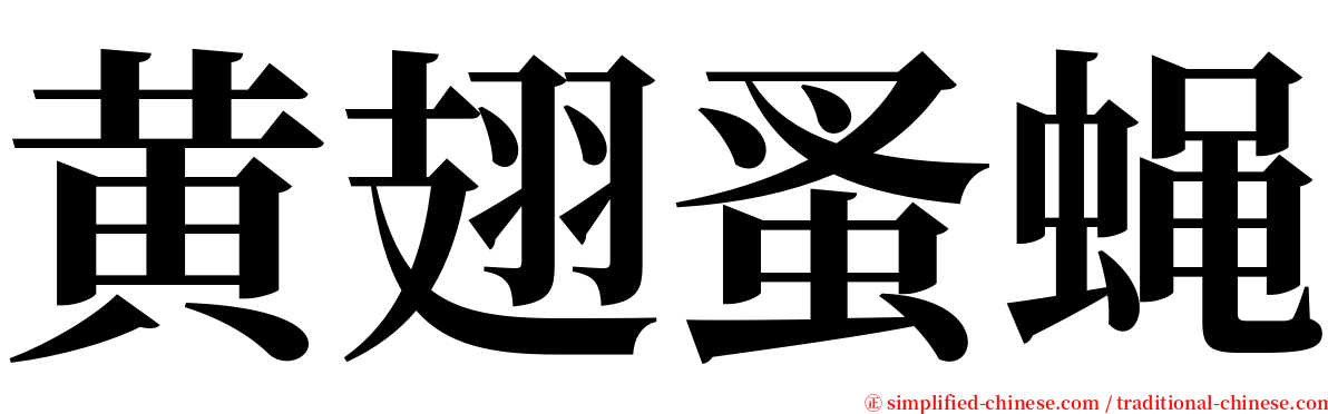 黄翅蚤蝇 serif font