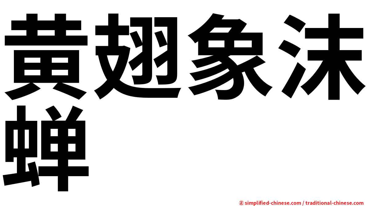 黄翅象沫蝉