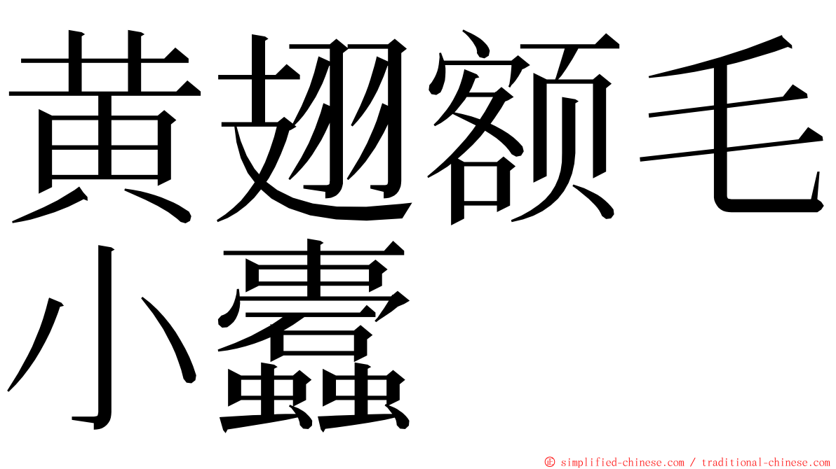 黄翅额毛小蠹 ming font