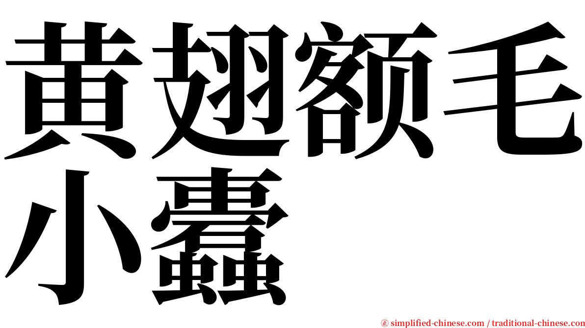 黄翅额毛小蠹 serif font