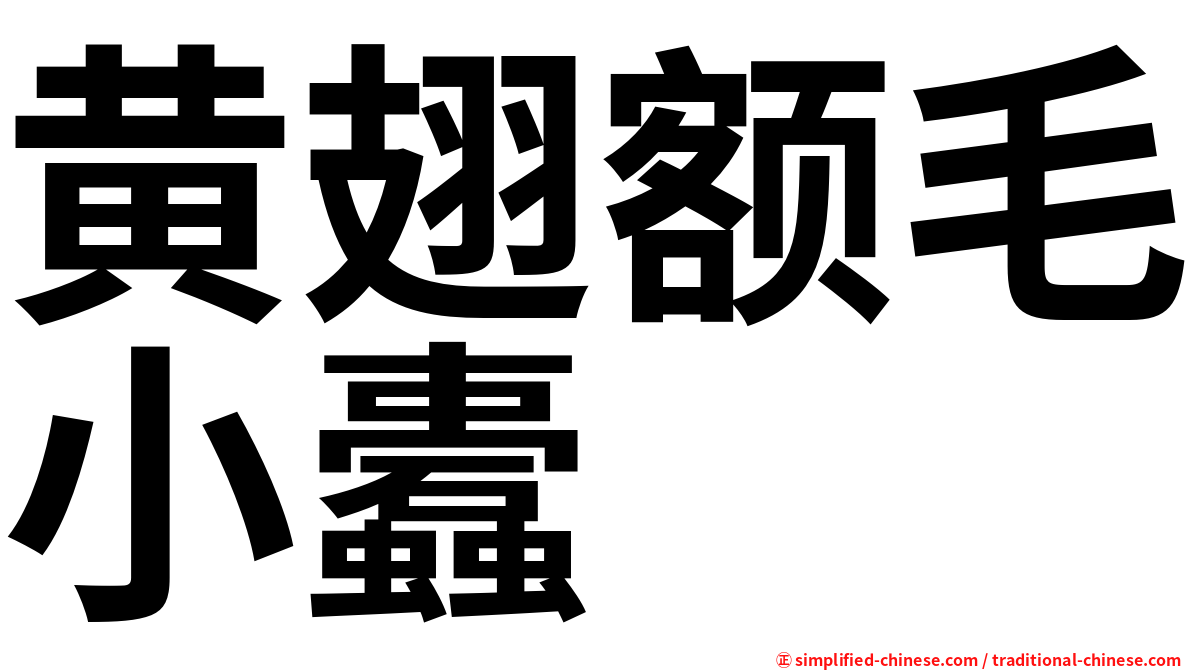 黄翅额毛小蠹