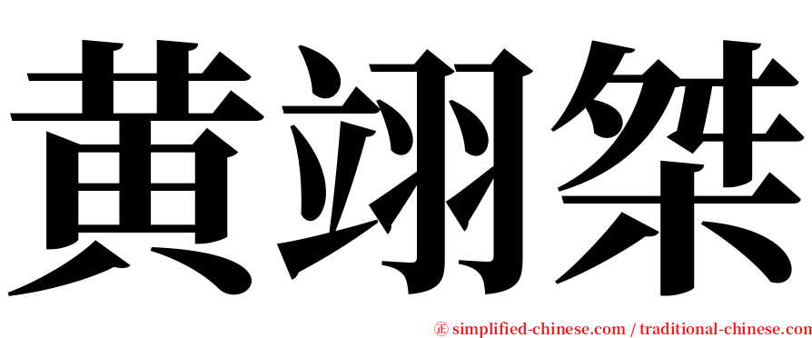 黄翊桀 serif font
