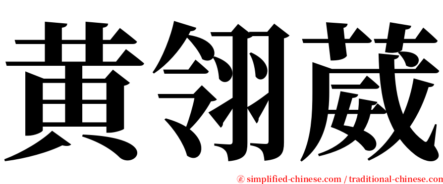 黄翎葳 serif font