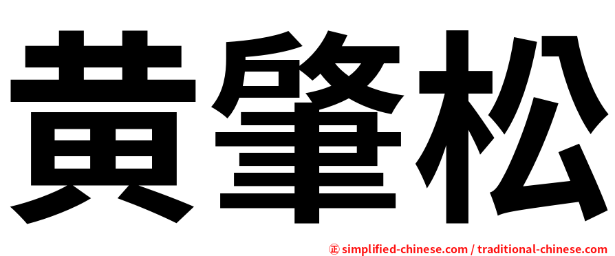 黄肇松