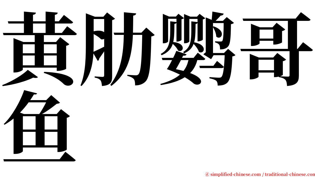 黄肋鹦哥鱼 serif font
