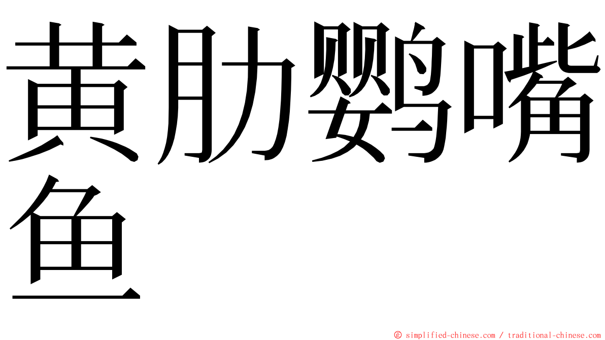 黄肋鹦嘴鱼 ming font