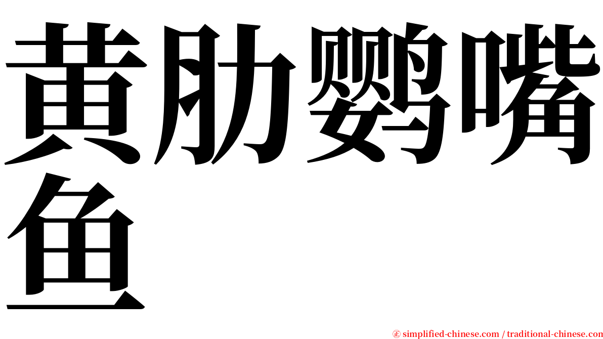 黄肋鹦嘴鱼 serif font