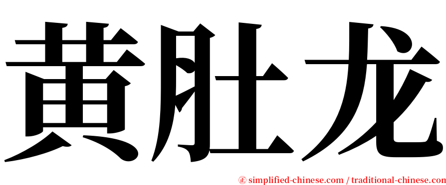 黄肚龙 serif font