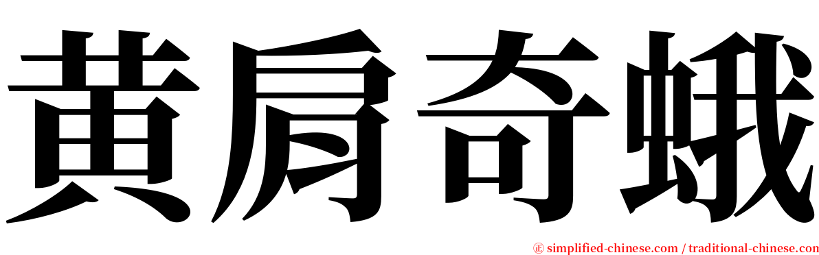 黄肩奇蛾 serif font