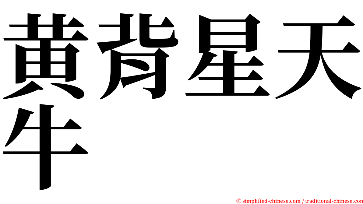 黄背星天牛 serif font