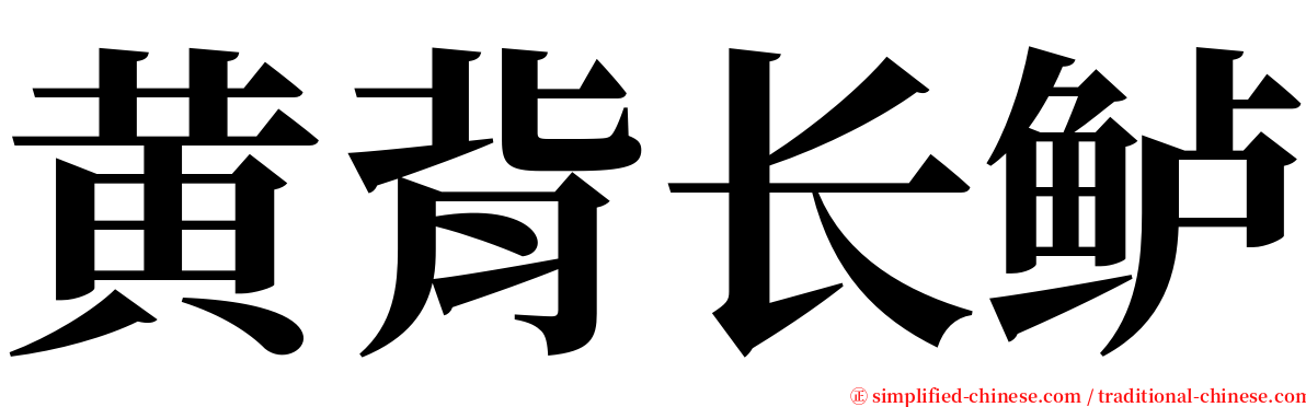 黄背长鲈 serif font