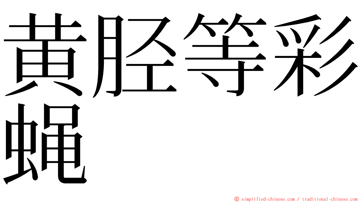 黄胫等彩蝇 ming font