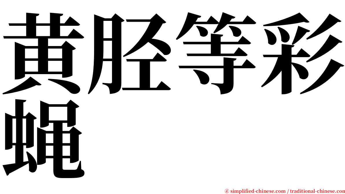 黄胫等彩蝇 serif font