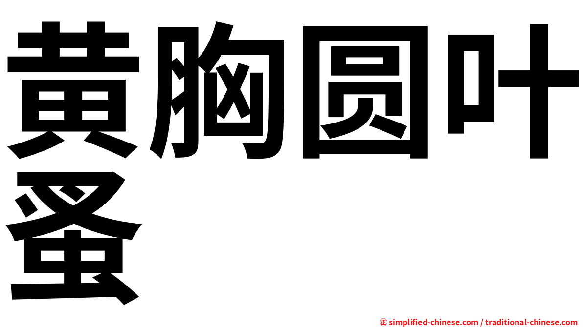 黄胸圆叶蚤