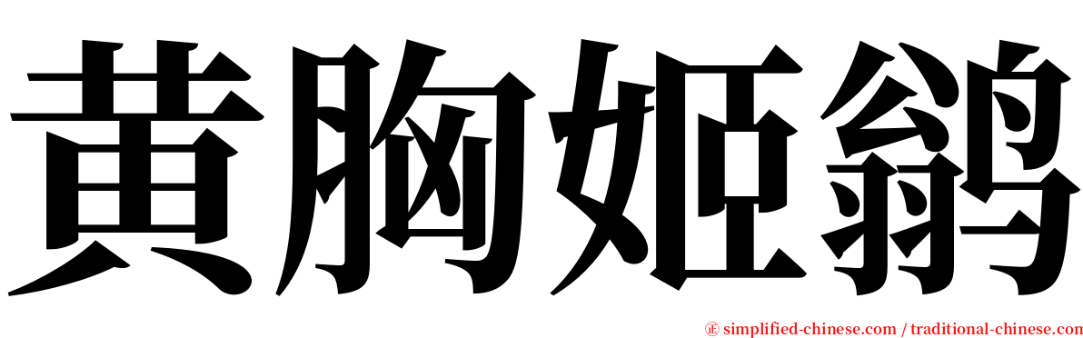 黄胸姬鹟 serif font