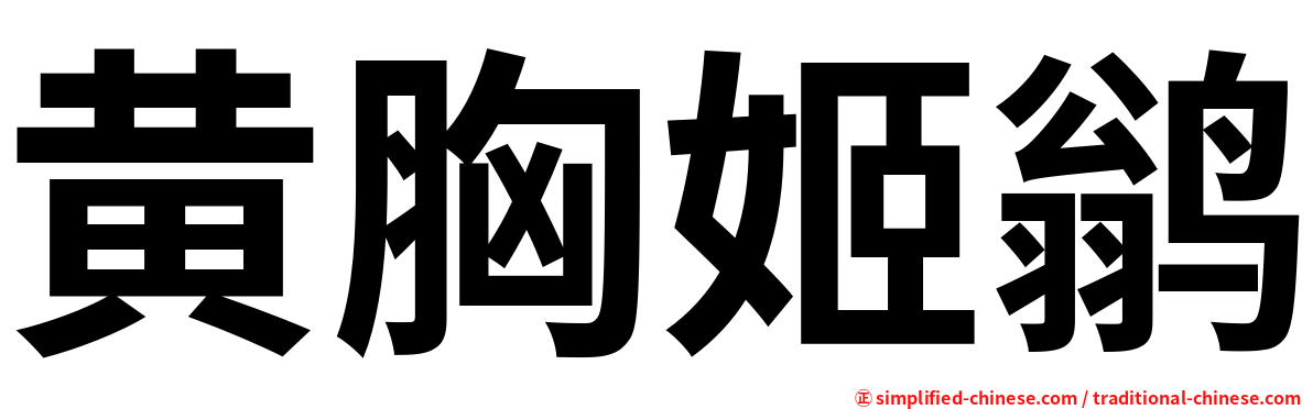 黄胸姬鹟