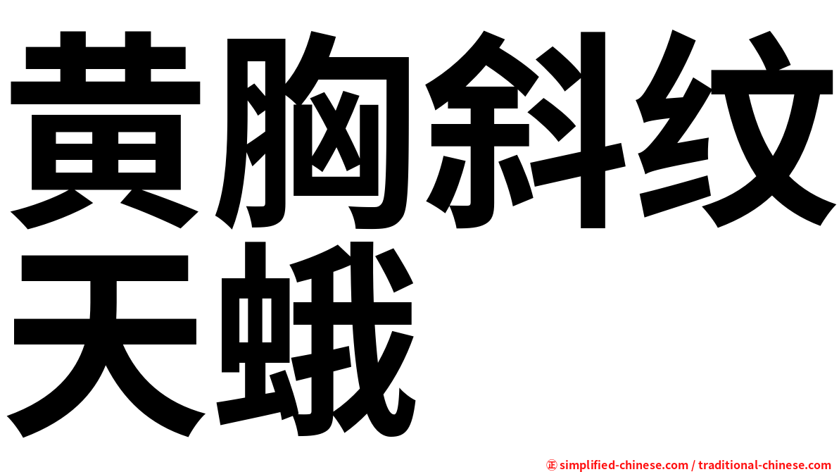 黄胸斜纹天蛾