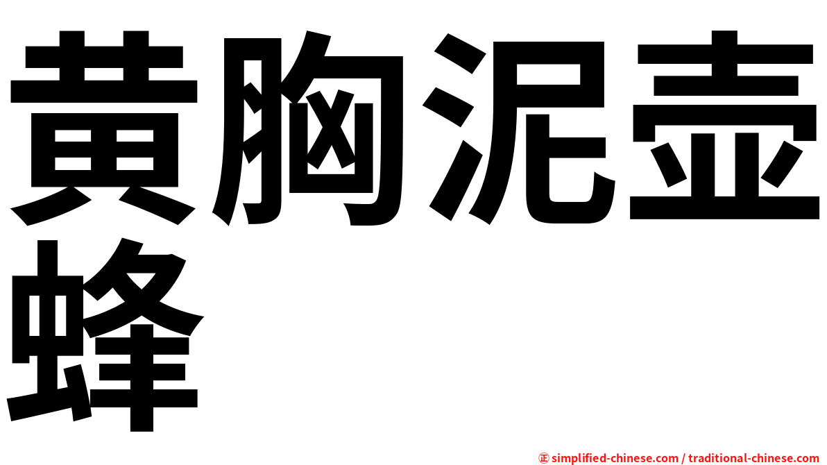 黄胸泥壶蜂