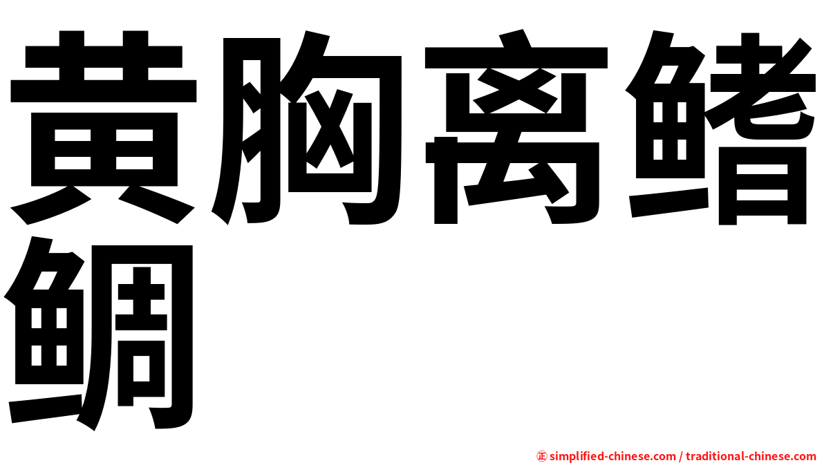黄胸离鳍鲷