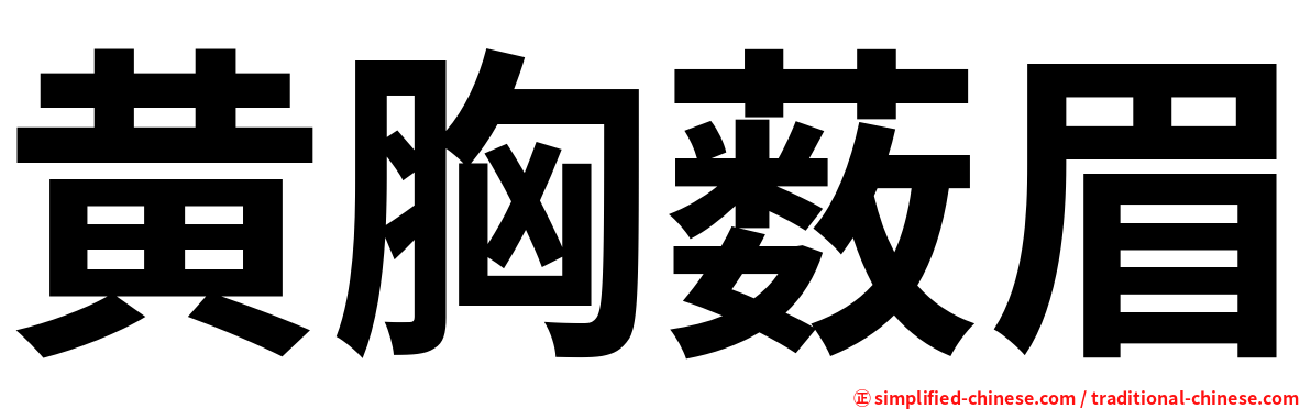 黄胸薮眉