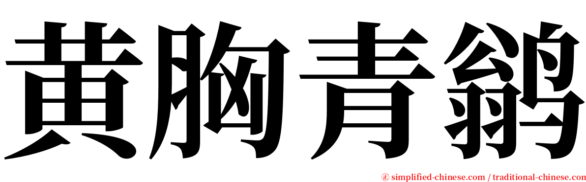 黄胸青鹟 serif font