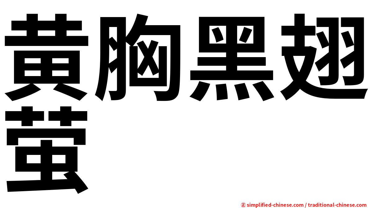 黄胸黑翅萤