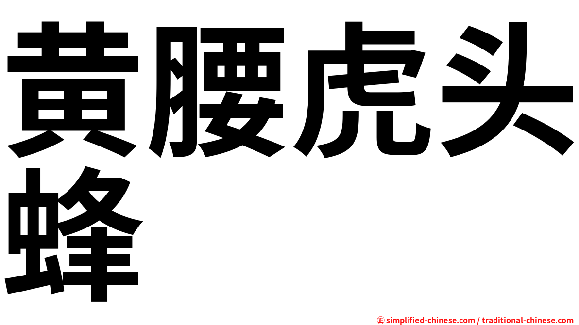 黄腰虎头蜂