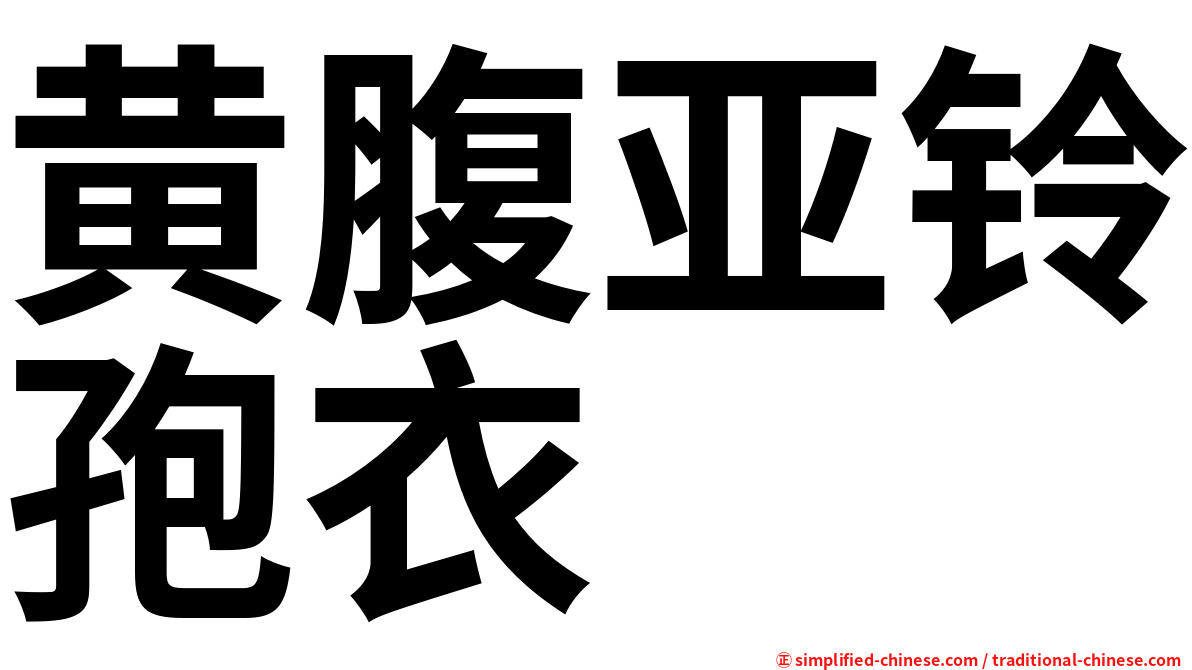 黄腹亚铃孢衣