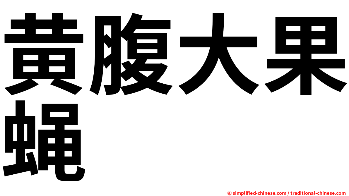 黄腹大果蝇