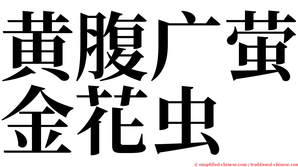 黄腹广萤金花虫 serif font