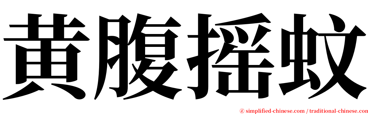 黄腹摇蚊 serif font
